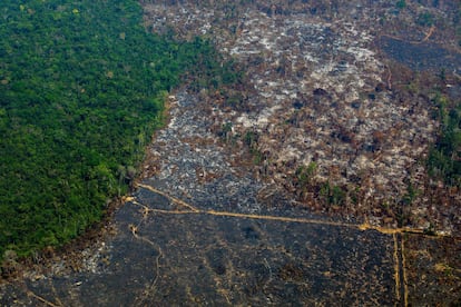 Una zona de la Amazonia deforestada en una vista aérea tomada en agosto pasado en la reserva biológica de Altamira. JOAO LAET AFP