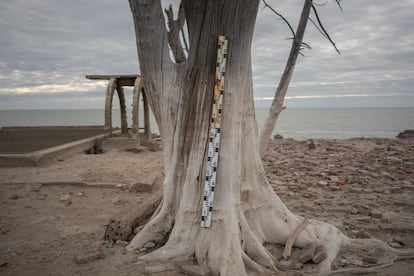 Regla para medir la altura de la laguna quedó completamente expuesto por la bajante extrema.