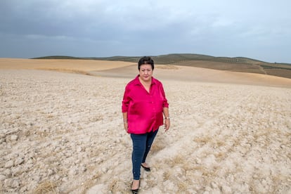 Ines Casado, en un campo donde cultiva algodón en Jaén.