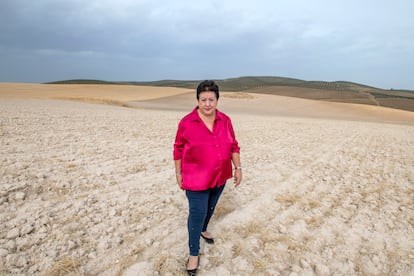 Ines Casado, en un campo donde cultiva algodón en Jaén. 