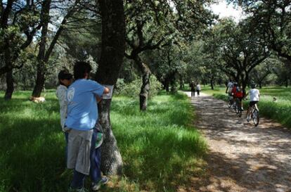 Varias personas pasean por el monte de Pozuelo.