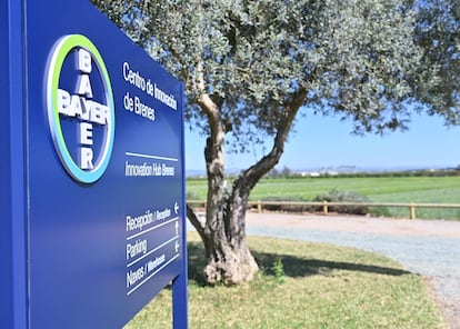 Acceso al centro de innovación de Bayer en Brenes (Sevilla).