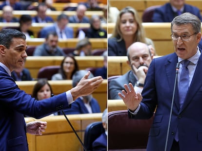 Pedro Sánchez y Alberto Nuñez Feijóo, este miércoles en el Senado.