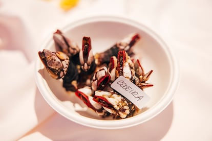 Plato con percebes de Cedeira.  