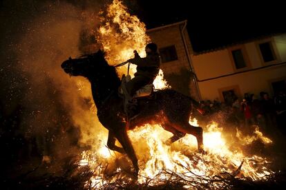 Un home munta a cavall entre les flames durant la celebració religiosa "Luminarias", la vigília del dia de Sant Antoni, al nord-oest de Madrid, el 16 de gener del 2016.