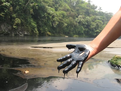 Ecuador amazonia