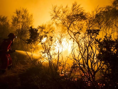 Incendio en Cualedro (Ourense) en agosto de 2015.