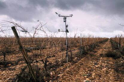 Estación climática instalada en uno de los viñedos de Bodegas Emilio Moro.