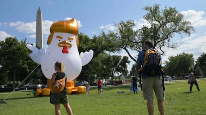 El pollo que recuerda a Trump, atrapado en la Elipse de Washington.