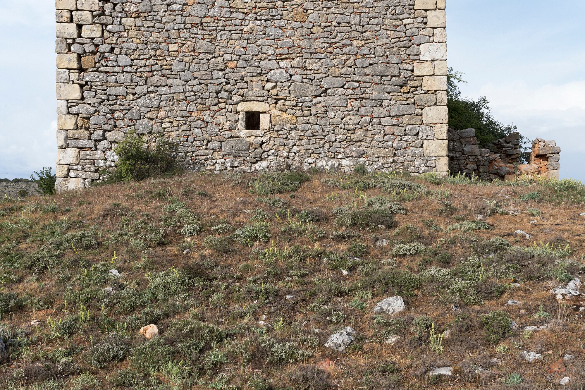 Muro de la ermita de Santa Eulalia de La Velilla (Soria), uno de los templos estudiados por el grupo Románico sin Techo.