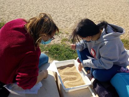 Les visites a plantes depuradores són les activitats més populars i de major impacte que preveu el programa d’educació ambiental de l’AMB.