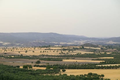 Vista del valle, desde las faldas de la Sierra de Altomira (Guadalajara).