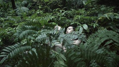 Fotograma de la obra 'Pteridophilia', de Zheng Bo.