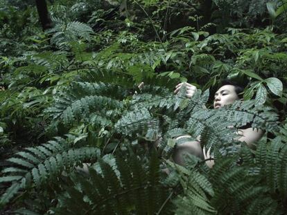 Fotograma de la obra 'Pteridophilia', de Zheng Bo.