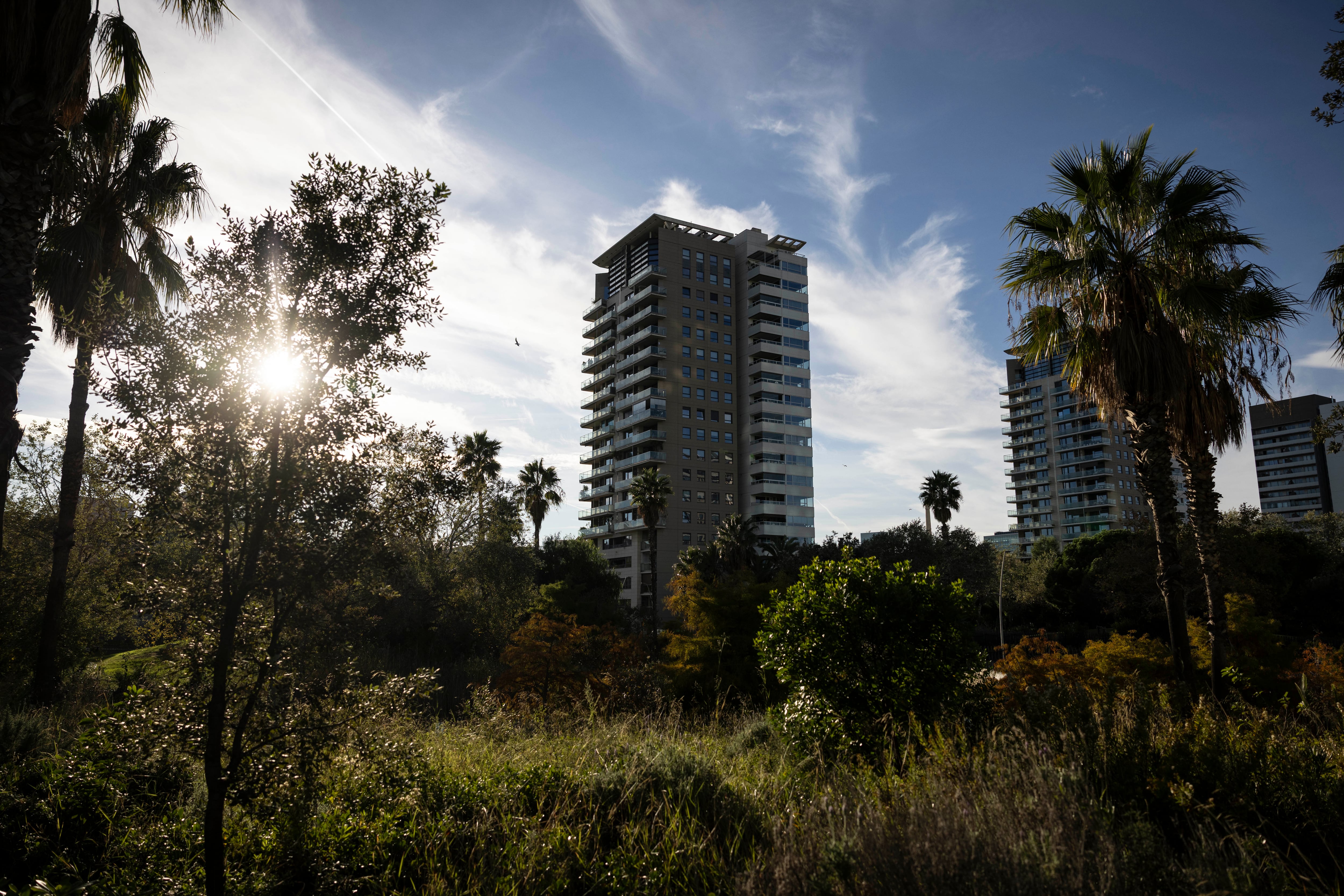 Каталонское правительство требует от арендодателей раскрывать информацию