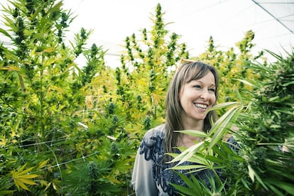 Ana María Gazmuri, directora de Fundación Daya, en la finca de marihuana