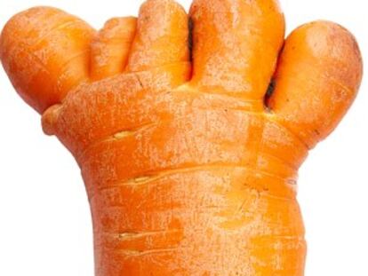 Buenas razones para acabar con el despilfarro de comida