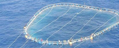 Imagen aérea de los inmigrantes, agarrados a las redes de los atunes.
