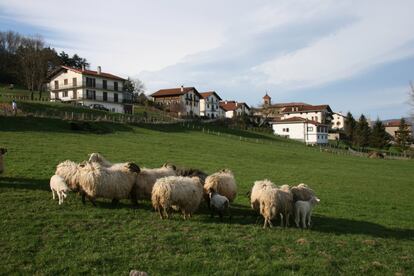 La llegada de la primavera convierte a Navarra en un destino ideal para realizar planes al aire libre. Al norte de Pamplona y a solo 20 minutos en coche está el valle de Ultzama, considerado la Suiza navarra. Una zona formada por inmensos bosques como el de Orgi, un robledal milenario, verdes valles y pueblos de calles empedradas, coloridos balcones, fachadas de piedra y porches de madera, donde la buena gastronomía es toda una tradición.