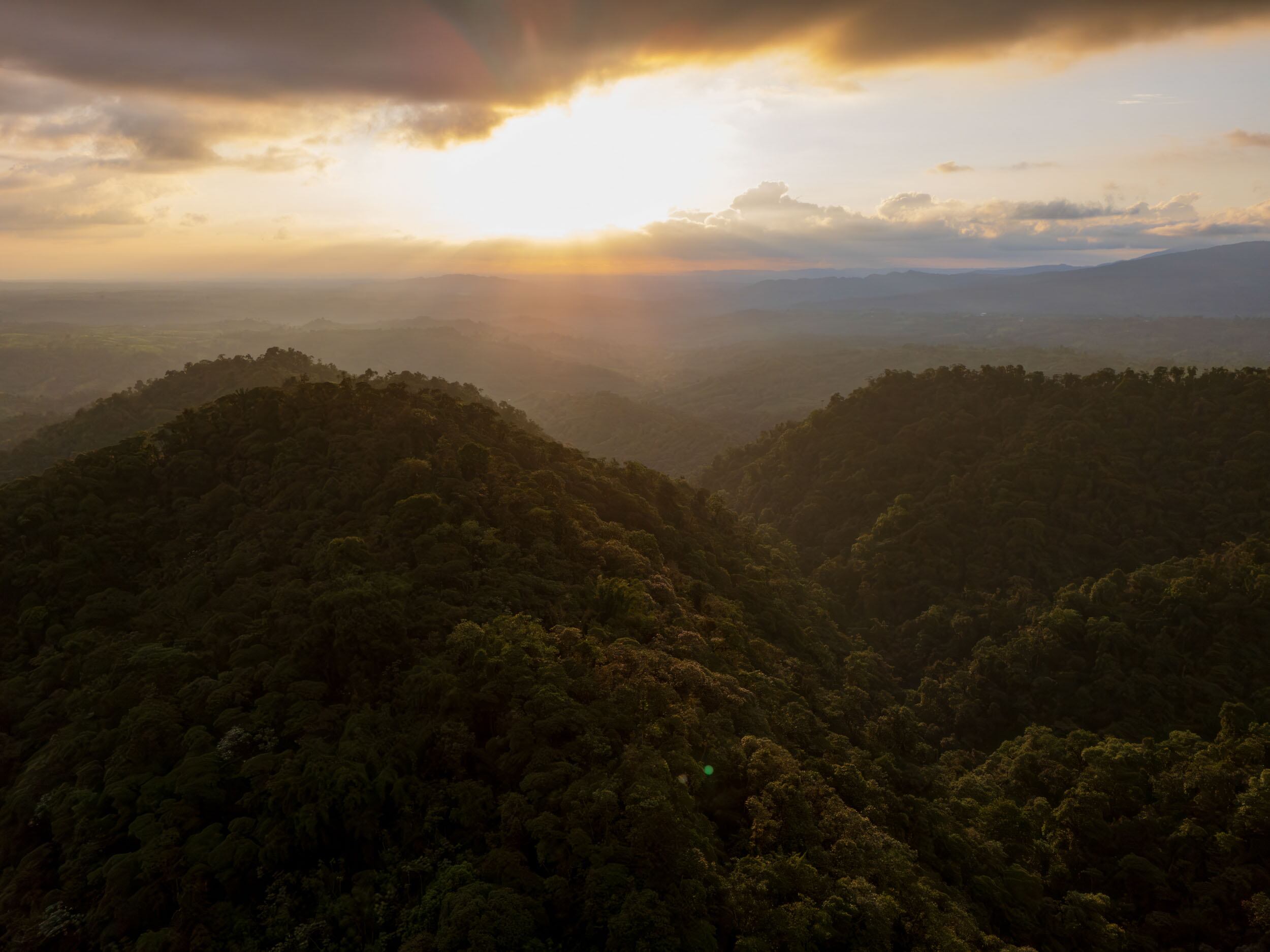 Vista del bosque nublado en la Reserva Mashpi-Tayra, el 21 de julio.