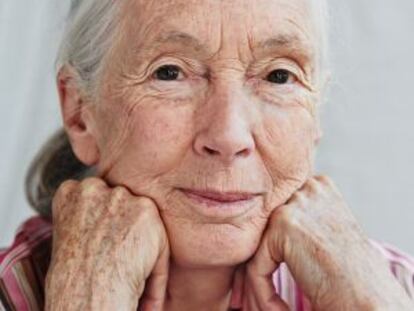 Jane Goodall.