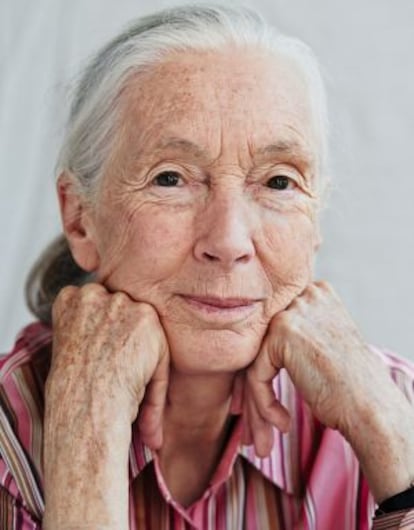 Jane Goodall.