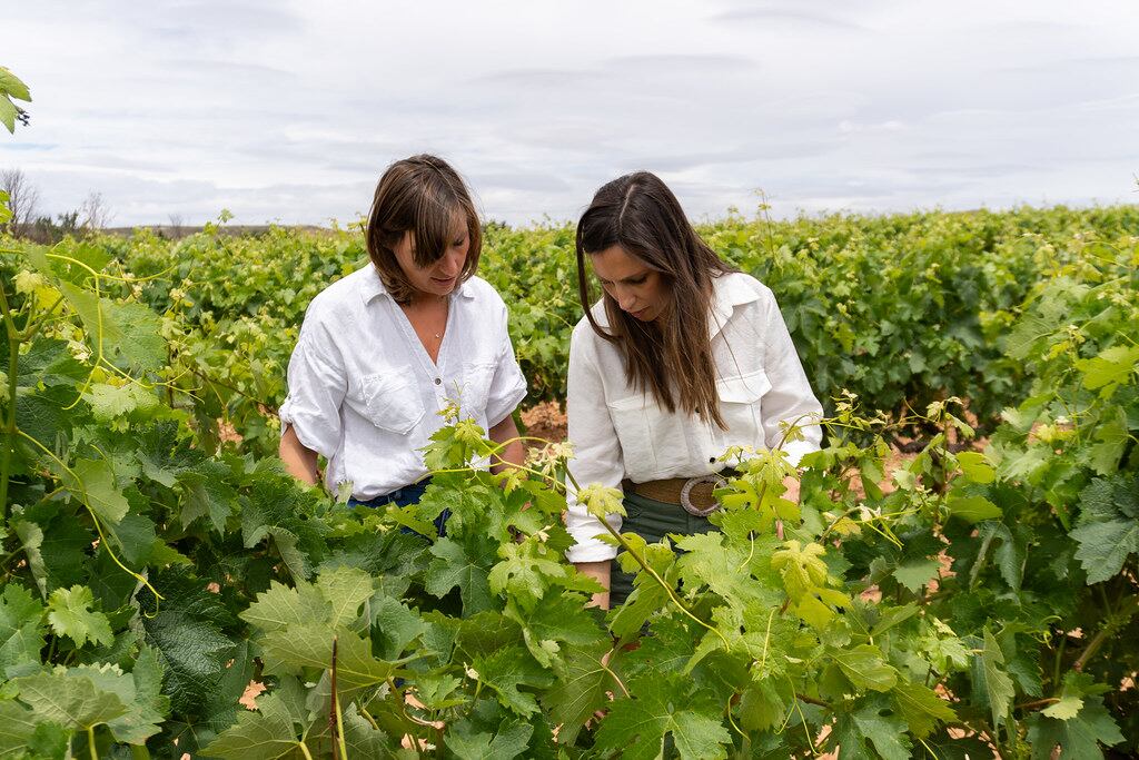 Cómo y cuándo elegir al sucesor en una empresa familiar