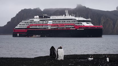 Pinginos frente al crucero 'Roald Amundsen', en la isla Decepcin, en la Antrtida.