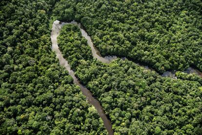 La rama occidental del Río Uaça serpentea a través de la selva, al oeste del Parque Nacional do Cabo Orange, en Brasil.