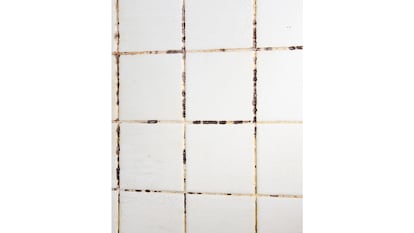 Limpiador de moho sobre fondo blanco.