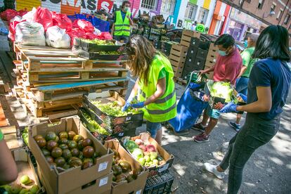 Reparto de alimentos de la Red de Apoyo Mutuo de Aluche, el pasado 8 de agosto en Madrid.