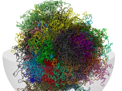 Representación del genoma humano en tres dimensiones