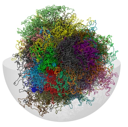 Representación del genoma humano en tres dimensiones