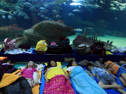 Un grupo de niños duerme en el acuario l'Oceanogràfic de la Ciudad de las Artes y las Ciencias, en Valencia