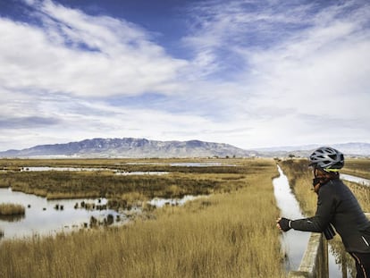 Una ciclista en el Delta del Ebro, en Tarragona, con la sierra del Montsià al fondo.