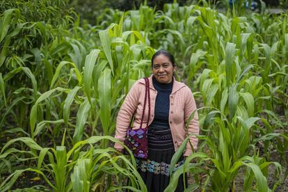 La artesana Antonia Pérez Girón posa para una fotografía. Las herramientas para combatir la apropiación cultural indebida desde las verdes montañas de Tenejapa son escasas.