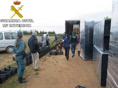 Imagen de la operaci&oacute;n policial suministrada por la Guardia Civil.