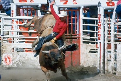 Es fácil ver algún que otro orgulloso vaquero en la próspera Calgary, una ciudad rica en petróleo al sur de Alberta. Pero si al bajar la vista comprobamos que todo el mundo lleva botas puntiagudas es que estamos a mediados de julio, el momento de la Calgary Stampede. Con más de cien años de historia, la Stampede es famosa en el mundo entero. Incluye rodeos con caballos salvajes, derribos de novillos, carreras de barriles y, por supuesto, monta de toros. Por la noche, una popular carrera de carretas caldea el ambiente. Los vaqueros y, posteriormente, el petróleo son la razón de ser de esta ciudad canadiense. Descarada, atrevida y enriquecida, parece una versión fría y menos delirante del desierto de Dubai. No tiene mucha personalidad, pero es una ciudad moderna y cosmopolita con buenos museos, restaurantes agradables y todo el ambiente de las grandes praderas americanas.