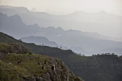 Uno de los nuevos destinos de moda, que también avanza rápidamente. En 2017 una nueva línea aérea mejorará las comunicaciones del país con el resto de mundo y hará más sencillo llegar hasta este rincón de África que conserva todo su exotismo y originalidad. En las montañas de Simien (en la foto) se pueden ver animales únicos, en Lalibela se pueden ver impresionantes iglesias excavadas en la roca y en el lago Tana podremos surcar en barco sus serenas aguas parando en islas con iglesias sorprendentemente pintadas. Definitivamente, hay que viajar a Etiopía lo antes posible.