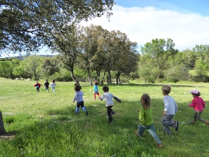 Alumnos de Bosquescuela, de Cerceda.