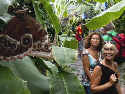 Un aspecto del Mariposario del Parque de las Ciencias de Granada, el pasado miércoles.