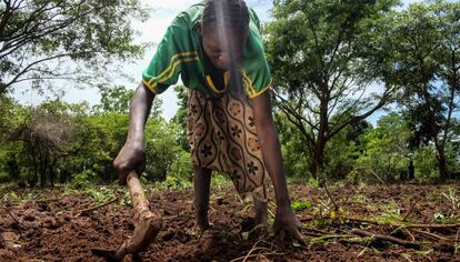 Agnes Yassinodka, trabaja en el campo en Makangue, República Centroafricana, en abril de 2016.