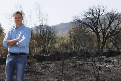 Pedro Sánchez durante la visita  a zonas quemadas de Extremadura
 