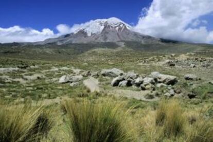 Campas de hierba a los pies del volcán Chimborazo, en los Andes de Ecuador.