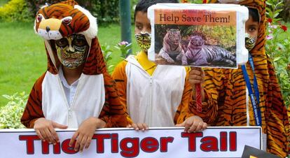 Varios niños indios disfrazados de tigre participan en la campaña 'Salvar a nuestro tigre', el Día Mundial del Tigre, el 29 de julio.