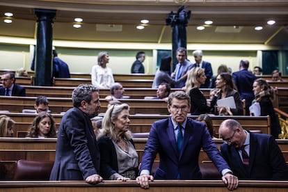 El líder del PP, Alberto Núñez Feijóo, junto a varios diputados de su grupo, el pasado 30 de enero, durante el pleno de votación de la ley de amnistía.