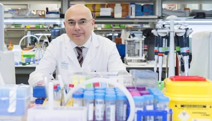 Jos&eacute; Tabernero, coautor del estudio, en uno de los laboratorios del VHIO