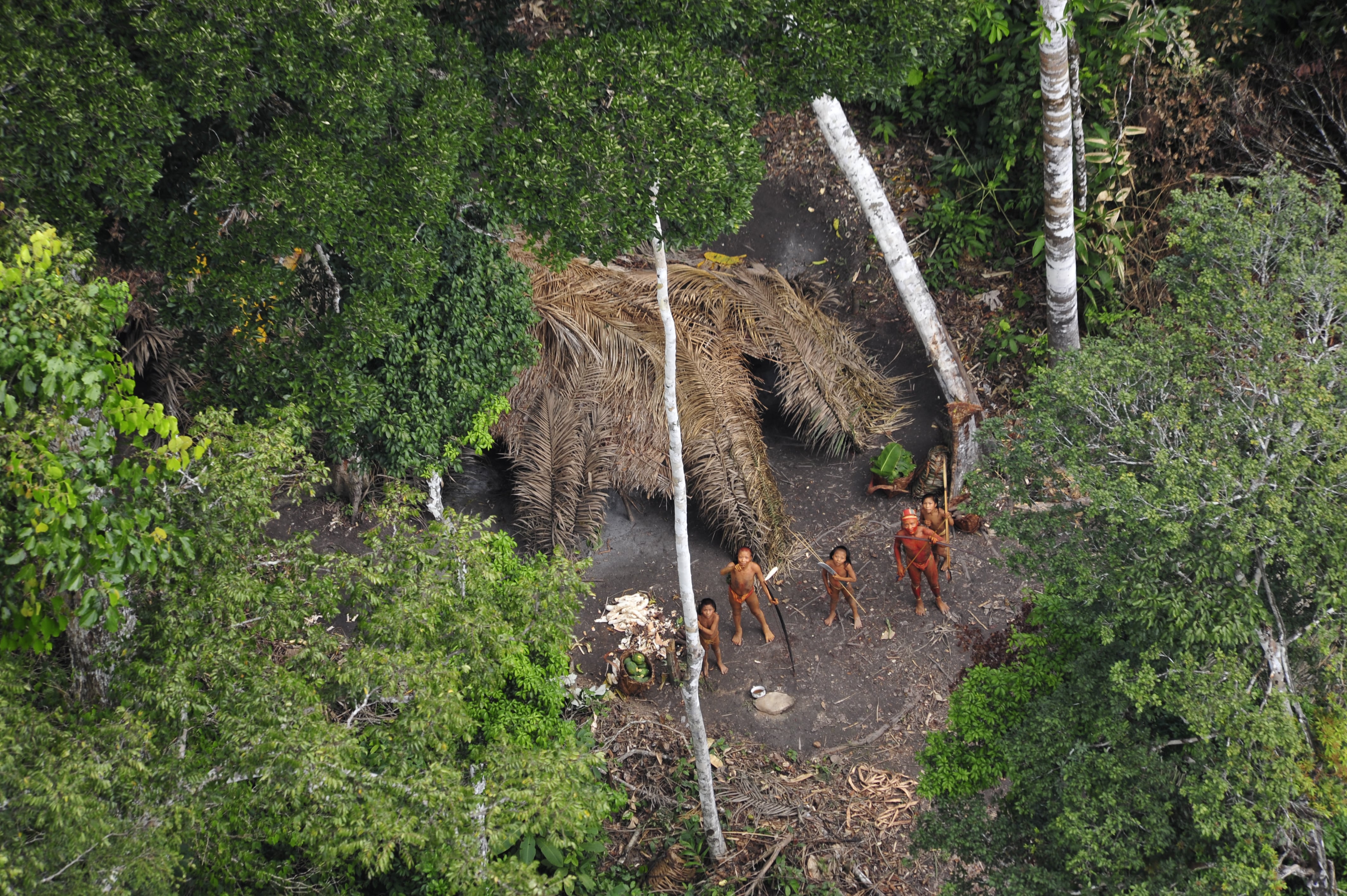 Pueblo no contactado en Brasil. Foto tomada desde un sobrevuelo de la Fundación Nacional de los Pueblos Indígenas de Brasil, en 2010. 