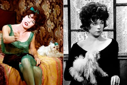 'Irma la Dulce' (Billy Wilder, 1963).

	No hay nada como la compañía de un perrito de raza Bichon para acompañar en sus horas muertas a una chica de vida alegre en la esquina de una calle de Pariís. Shirley McLaine entraba en el álbum de las prostitutas más encantadoras que habían desfilado por la pantalla con perro incluido.