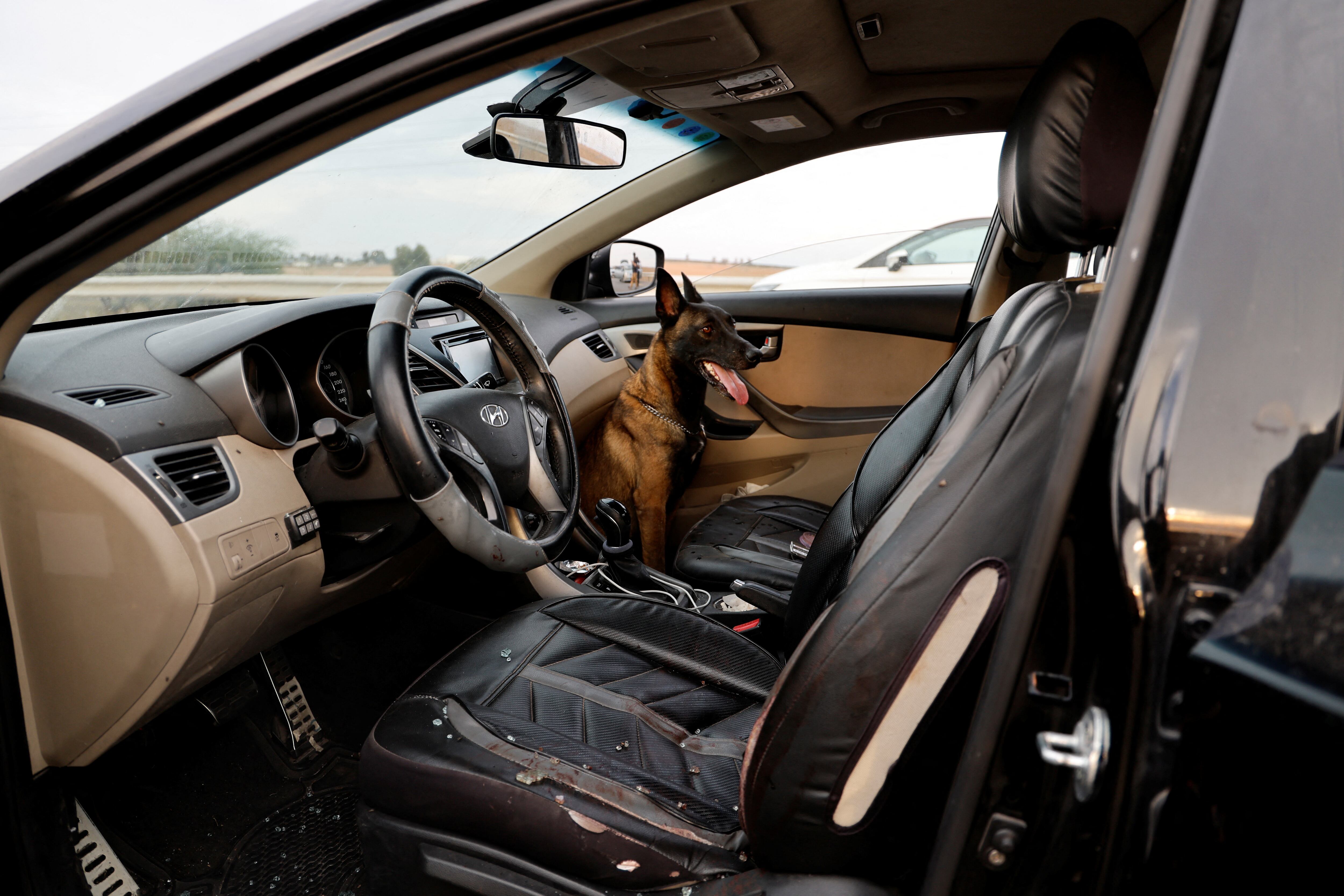 Un perro en el interior de un vehículo atacado por milicianos palestinos en una carretera en la ciudad israelí de Sderot, el sábado.